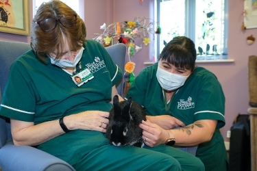 An image of staff at Phoenix Resource Centre with their therapy rabbit, George Phoenix