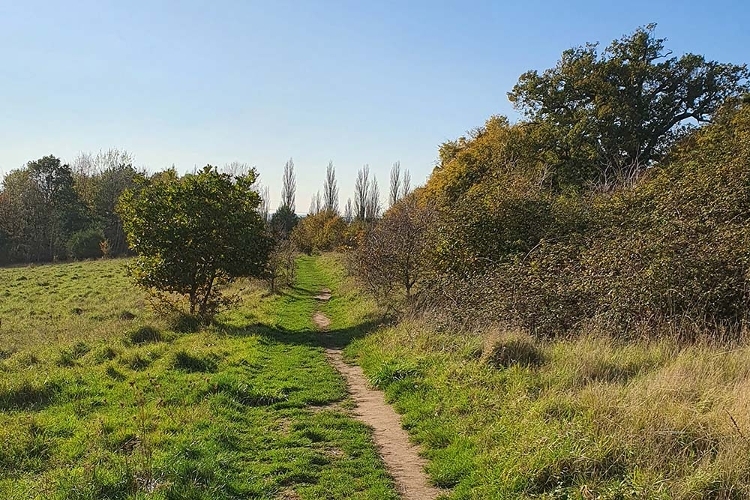 A photograph of a Public Right of Way path through the countryside, surrounded by grass, trees and shrubs