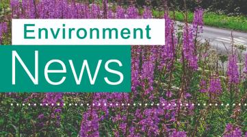 Environment Newsletter Header image