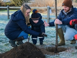 image showing community orchard planting