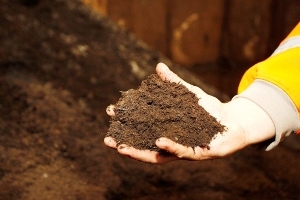 An image relating to Soil conditioner giveaway returns