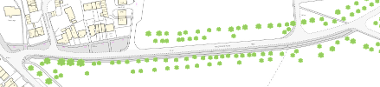 Racecourse Road Poplar trees - location map (August 2024